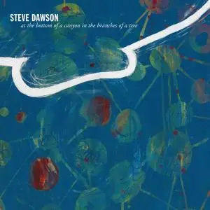 Steve Dawson - At The Bottom Of A Canyon In The Branches Of The Tree (2021)