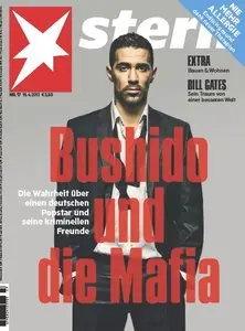Stern Nachrichtenmagazin No 17 vom 18 April 2013