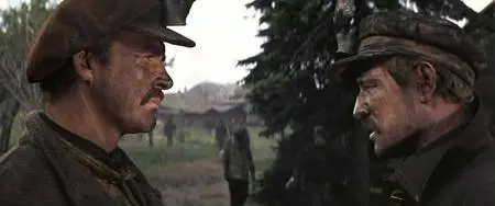 The Molly Maguires (1970)