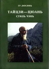 Тайцзи-цюань, стиль Чэнь.