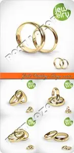 Gold wedding rings vector