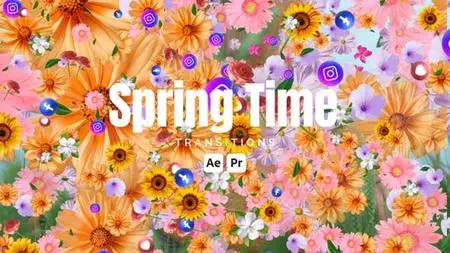 Spring Time Transitions 50823501