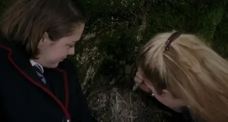 The Falling (2014)