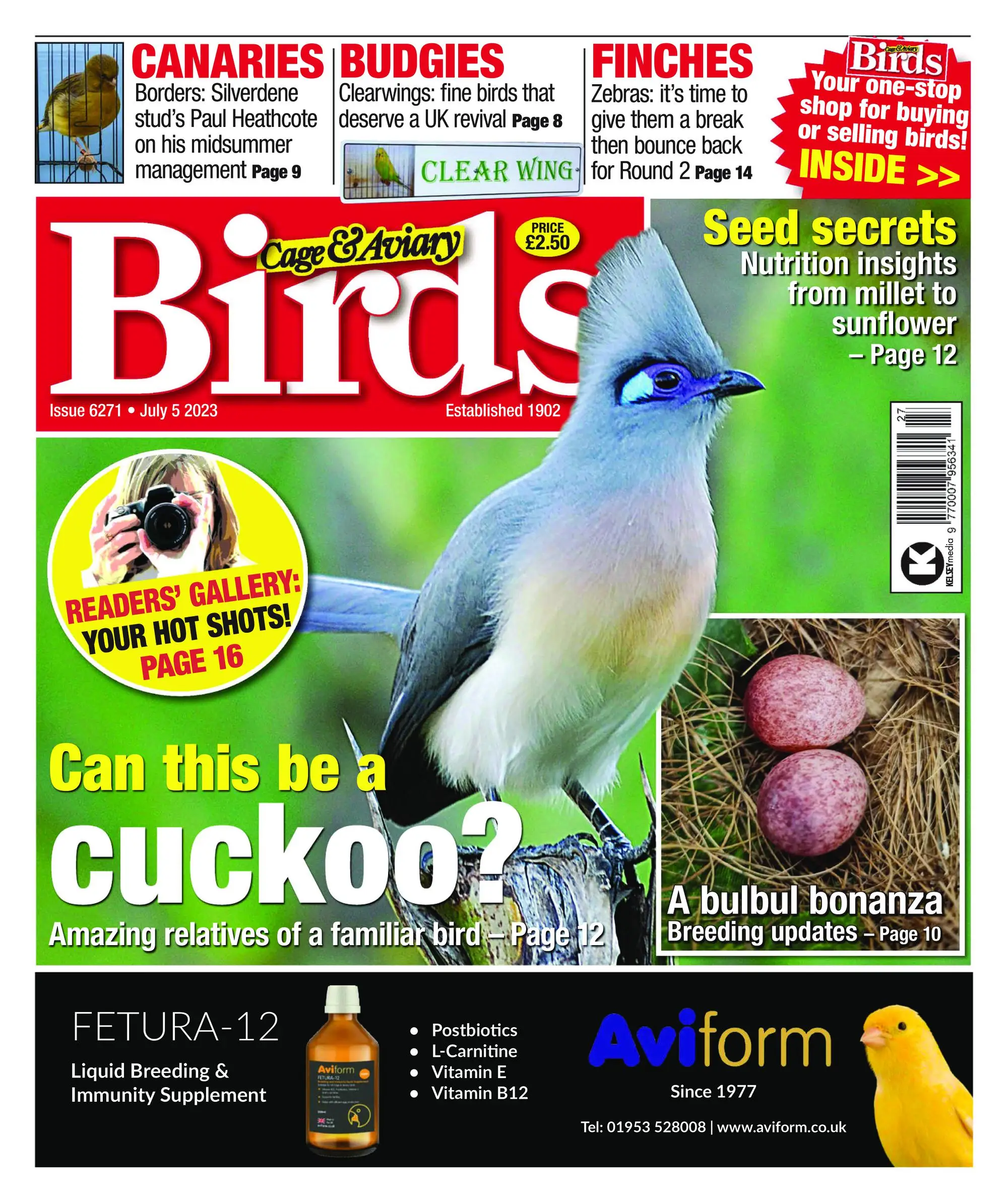 Cage & Aviary Birds – 05 July 2023