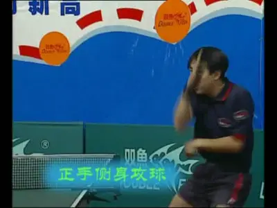 Excellent World Champions - Teach You How To Play Table Tennis (16DVDs)