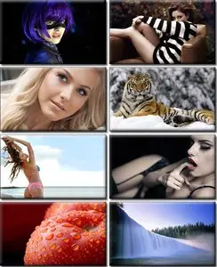Computer Desktop Wallpapers Collection (82)