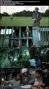 Sounder (1972)