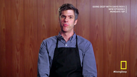 Going Deep with David Rees (2014)