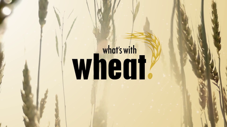 What's With Wheat (2016)