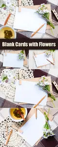 Stock Photo - Blank Cards & Flowers