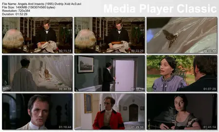 Angels and Insects (1995)