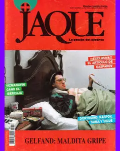JAQUE • La pasion del Ajedrez • Numero 353 • Mayo 1993 (Spanish)