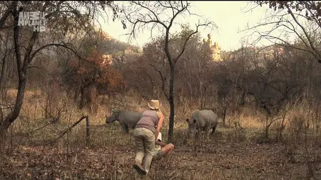 Karina - Wild on Safari - S01E04