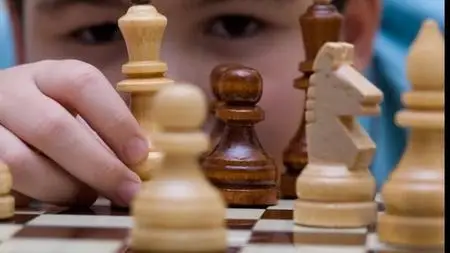 3D Chess : Learn & Play Chess today
