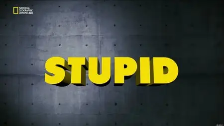 Science of Stupid S01E01-E04 (2014)