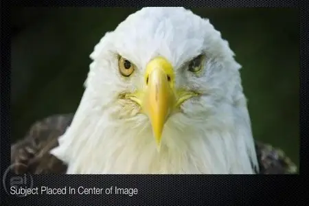 Beyond the Camera with Tom Maddrey