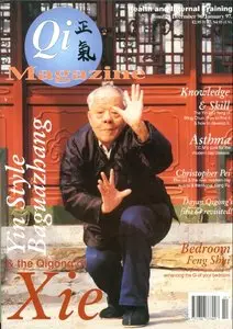 Qi Magazine 29