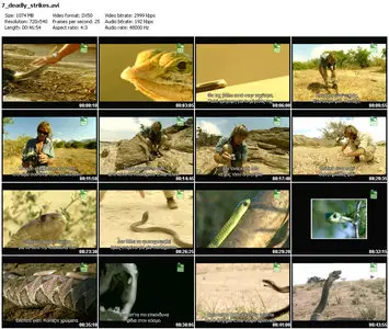 Animal planet - Snake master - Seven deadly strikes