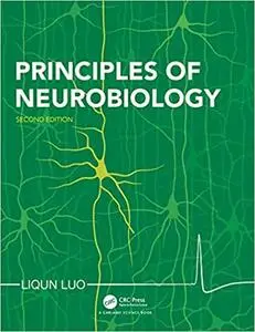 Principles of Neurobiology Ed 2