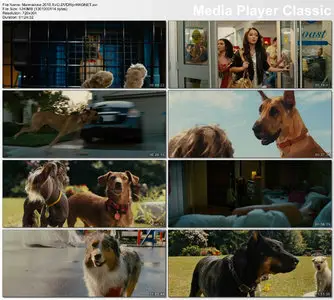 Marmaduke (2010)