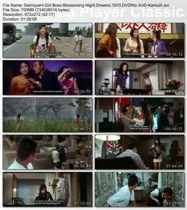 Delinquent Girl Boss: Blossoming Night Dreams (1970)