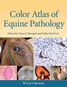 Color Atlas of Equine Pathology 