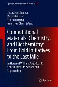 Computational Materials, Chemistry, and Biochemistry: From Bold Initiatives to the Last Mile (Repost)