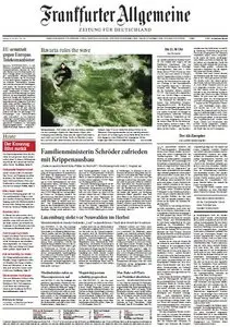 Frankfurter Allgemeine Zeitung vom Freitag, 12. Juli 2013