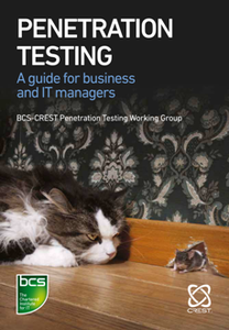 Penetration Testing : A Guide for Business and IT Managers