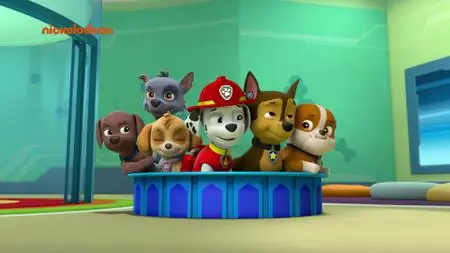 PAW Patrol S06E02