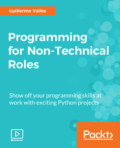 Programming for Non-Technical Roles