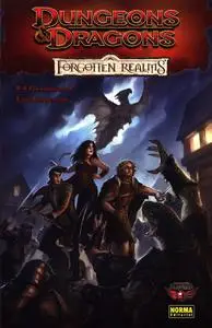 Dungeons & Dragons - Reinos Olvidados (Forgotten Realms)
