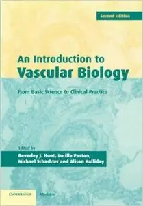 An Introduction to Vascular Biology: From Basic Science to Clinical Practice by Beverley J. Hunt