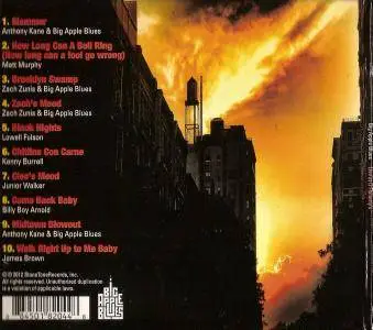 Big Apple Blues - Live At O'Flaherty's (2012)