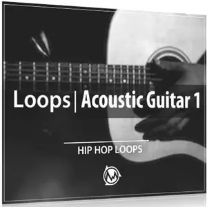 Thaloops Acoustic Guitar Shots 1 MULTiFORMAT