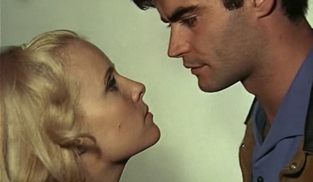 Agnès Varda-Le Bonheur (1965)