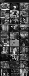 L'Age d'Or (1930) 