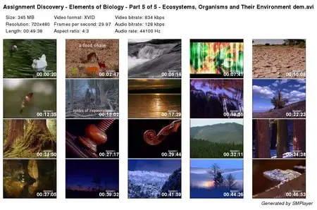 Assignment Discovery - Elements of Biology - Ecosystems, Organisms and Their Environmens