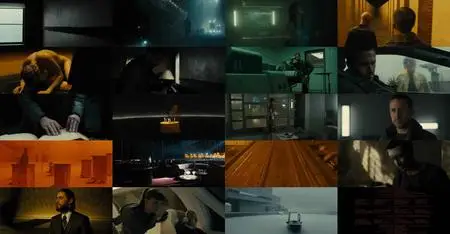 Blade Runner 2049 (2017) [MultiSubs]