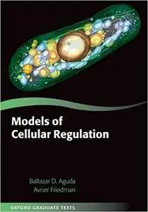 Models of Cellular Regulation (Repost)