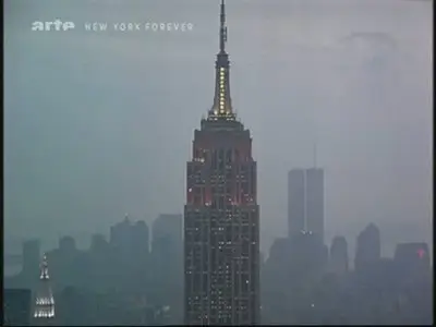 (Arte) Histoire de New York (2011)