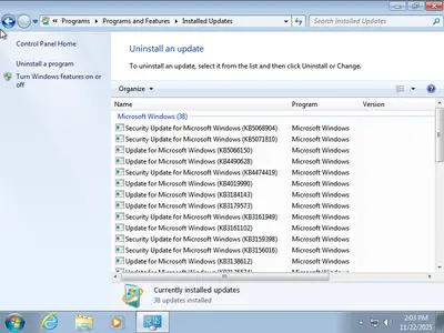 Windows 7 Professional SP1 Multilingual (x64) Preactivated November 2025