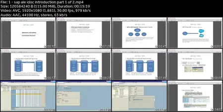 sap ale idoc for abap and functional consultant