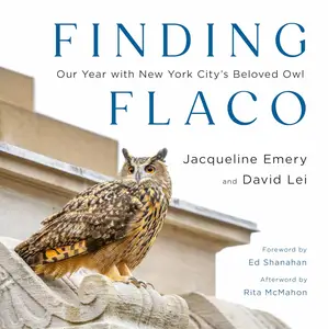 Finding Flaco: Our Year with New York City's Beloved Owl