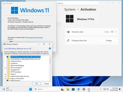tiny11 Core 25H2 Build 26200.6899 Multilingual Preactivated