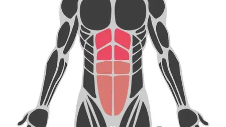 20 Exercise for Upper & Lower Abs || Strengthen your Abs||