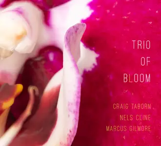 Nels Cline, Craig Taborn, Marcus Gilmore - Trio of Bloom (2025)