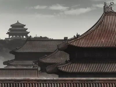 R O D the TV - 14 BD