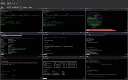 Privilege Escalation for Offensive Security Professionals