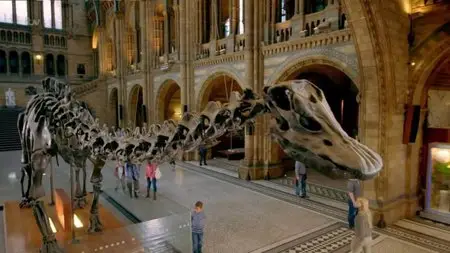 ITV - Dinosaur Britain (2015)